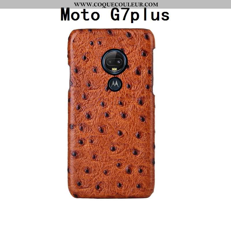 Housse Moto G7 Plus Modèle Fleurie Créatif Coque, Étui Moto G7 Plus Mode Noir