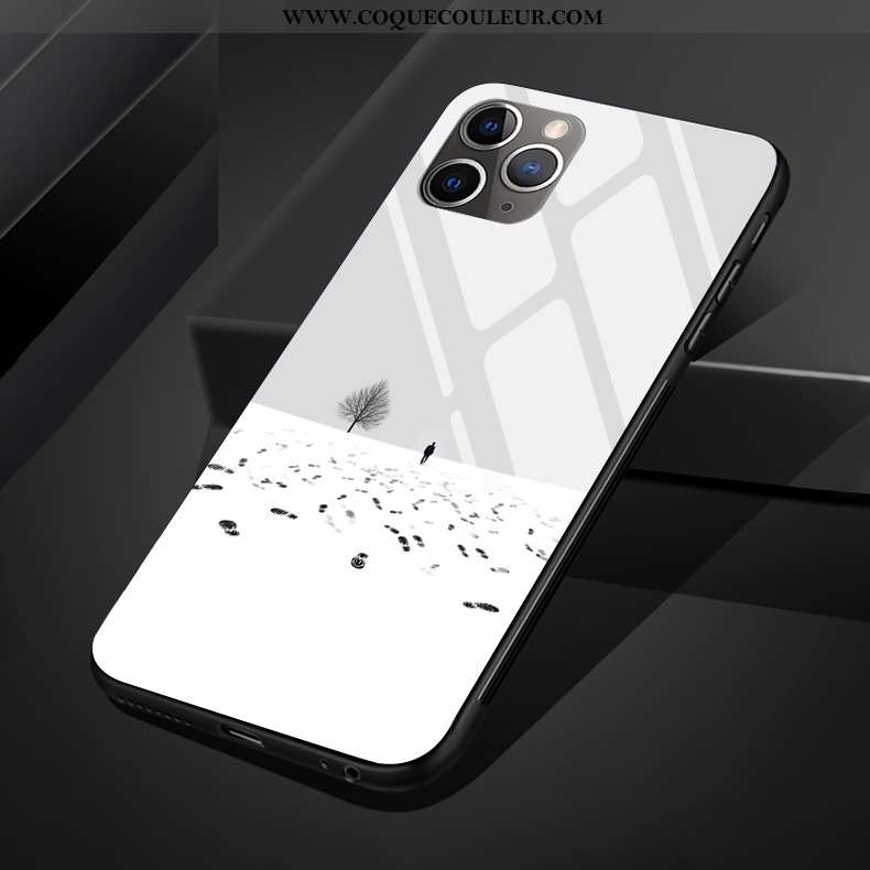 Housse iPhone 11 Pro Max Protection Téléphone Portable Coque, Étui iPhone 11 Pro Max Verre Silicone 