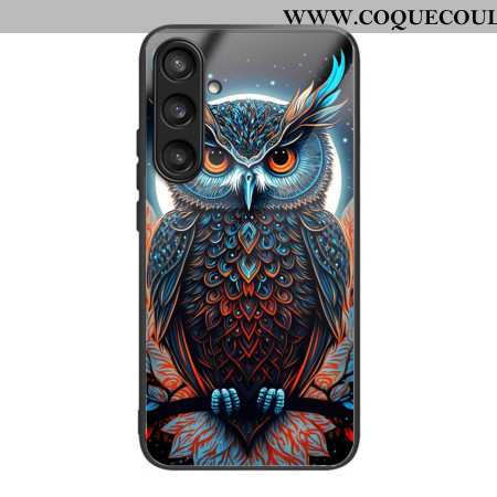 Coque Samsung Galaxy S25 5G Verre Trempé Hibou Coloré