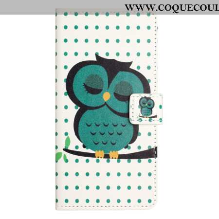 Housse Samsung Galaxy S25 FE Hibou Endormi
