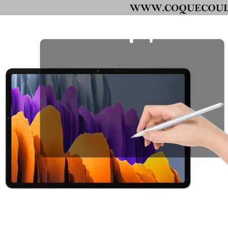 Protection en Verre Trempé Anti-Espion pour Écran Samsung Galaxy Tab S10 Lite / S10 FE / S9 / S9 FE 
