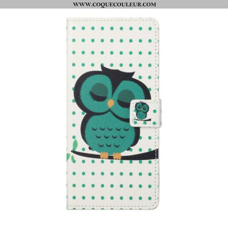 Housse OnePlus Nord 2 5G Hibou Endormi