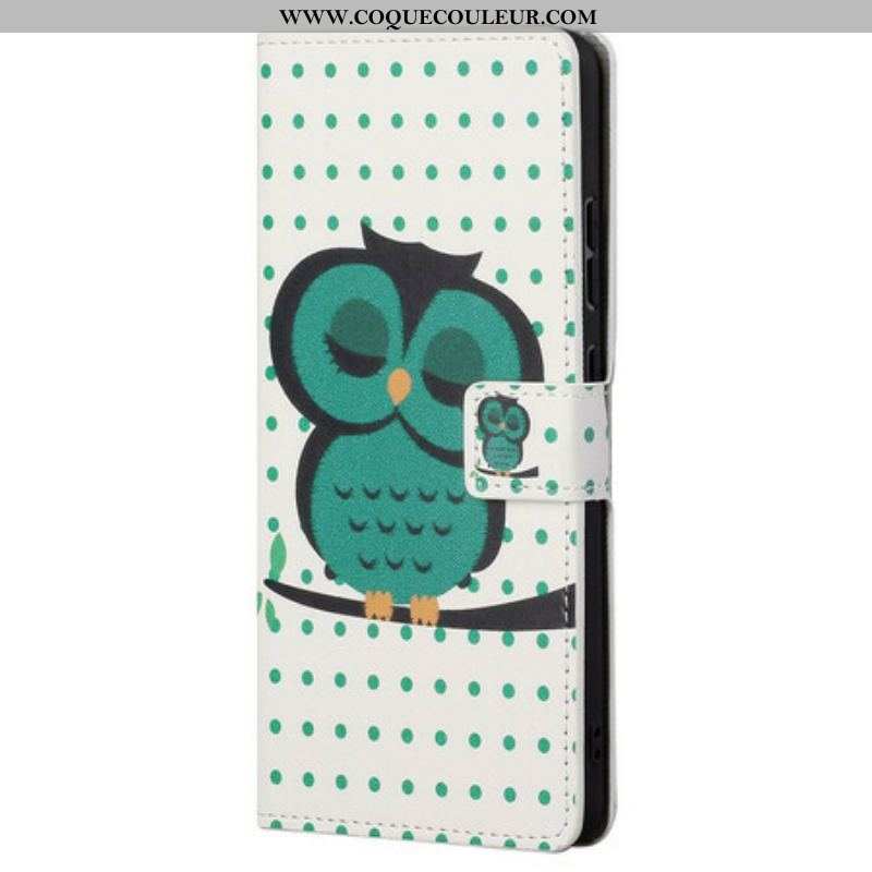 Housse OnePlus Nord CE 5G Hibou Endormi