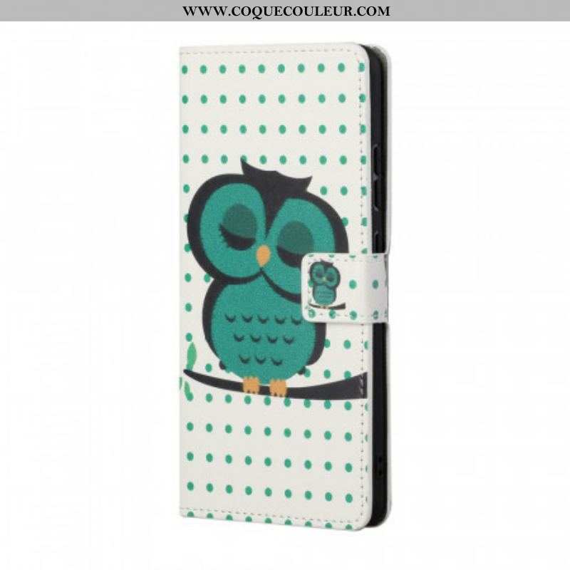 Housse Samsung Galaxy S22 Plus 5G Hibou Endormi