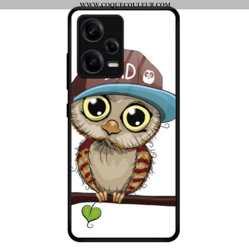 Coque Xiaomi Redmi Note 12 Pro Verre Trempé Bad Hibou