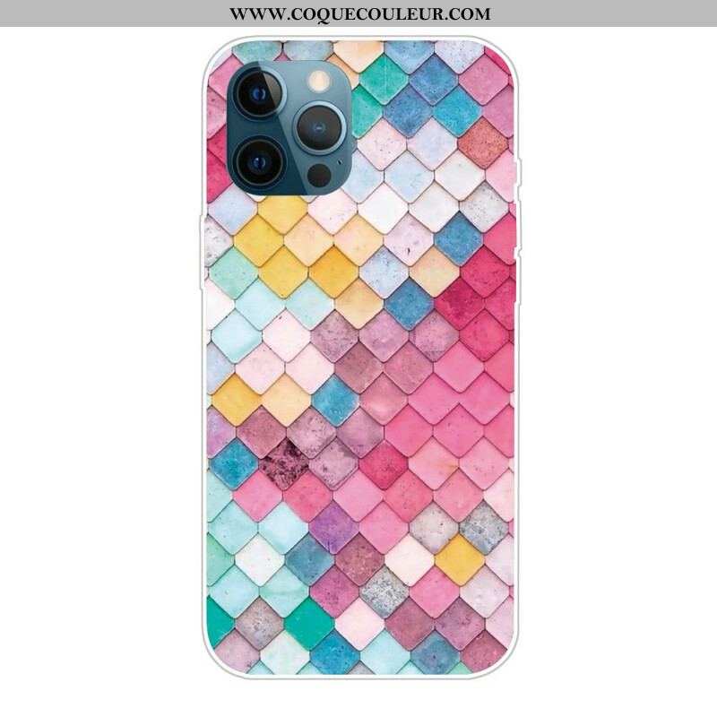 Coque iPhone 13 Pro Max Peinture