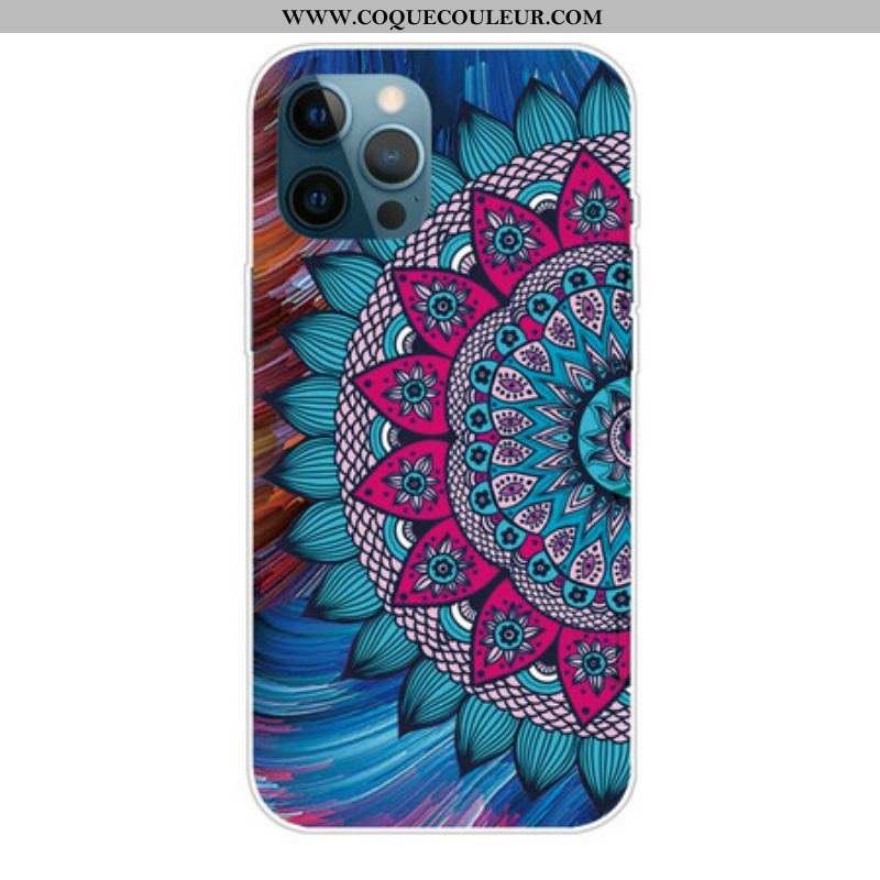 Coque iPhone 13 Pro Max Mandala Coloré