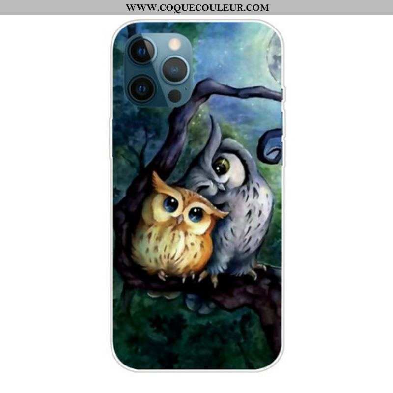 Coque iPhone 13 Pro Max Peinture Hiboux