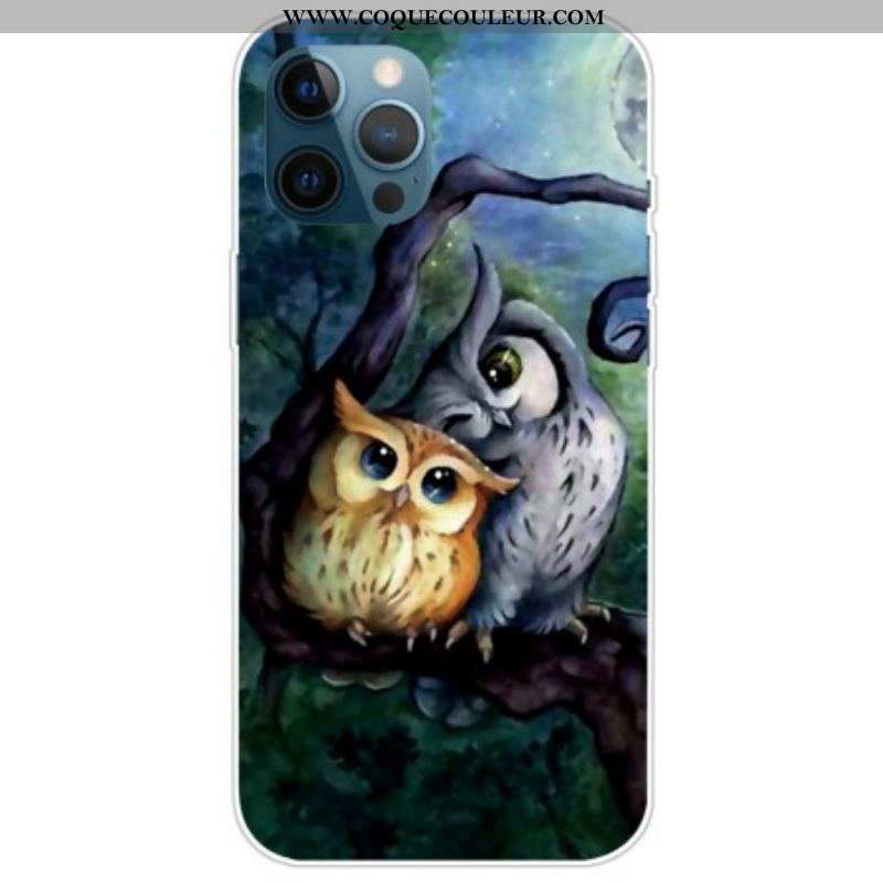 Coque iPhone 14 Pro Max Peinture Hiboux