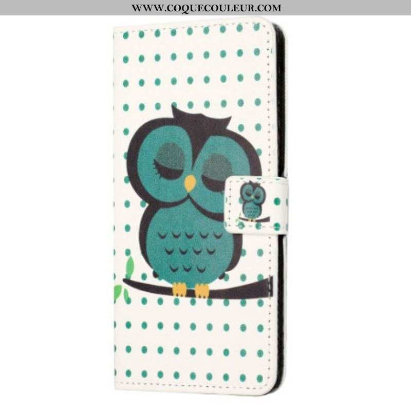 Housse iPhone 14 Hibou Endormi