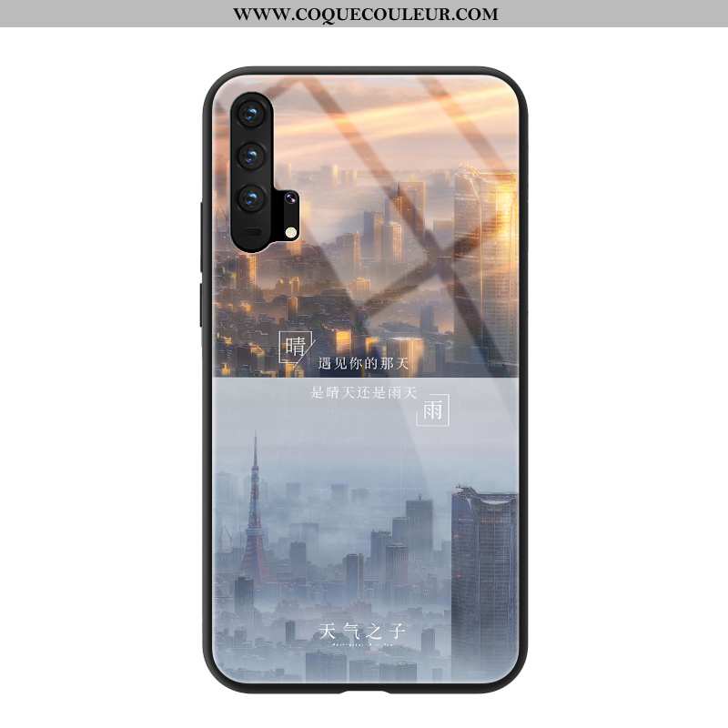 Étui Honor 20 Pro Verre Protection Gris, Coque Honor 20 Pro Personnalité Téléphone Portable Gris