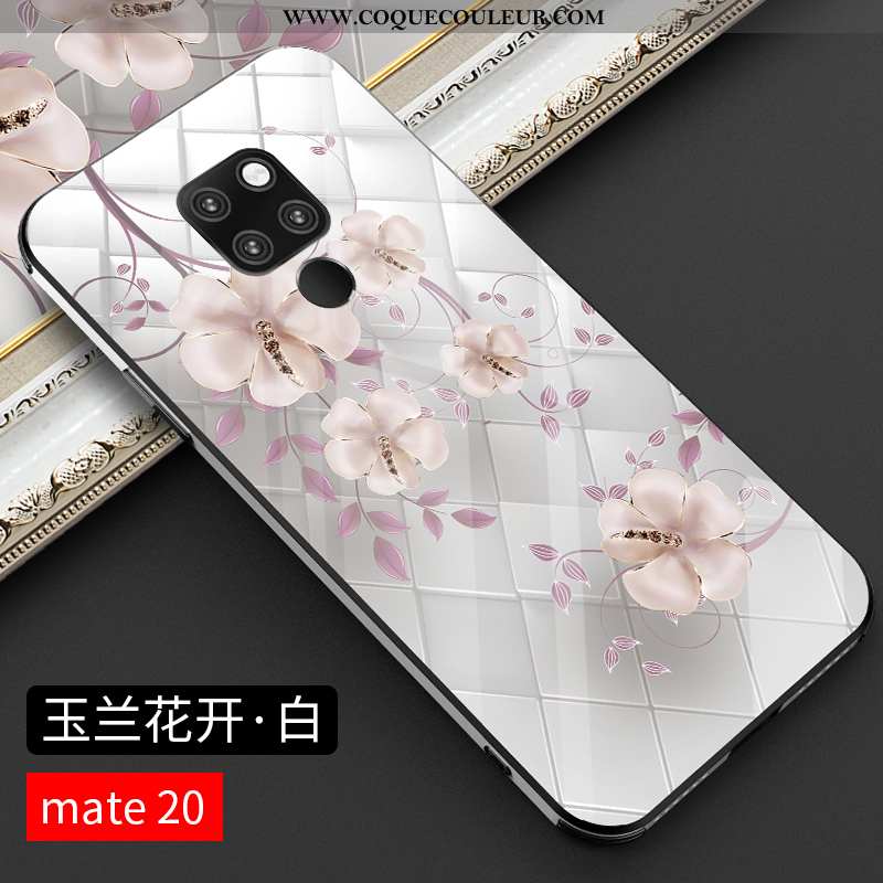 Étui Huawei Mate 20 Verre Protection Noir, Coque Huawei Mate 20 Personnalité Tout Compris Noir