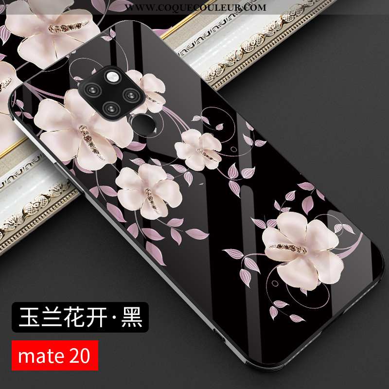 Étui Huawei Mate 20 Verre Protection Noir, Coque Huawei Mate 20 Personnalité Tout Compris Noir