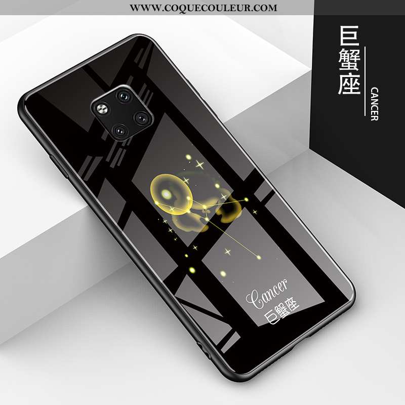 Coque Huawei Mate 20 Pro Verre Protection Étui, Housse Huawei Mate 20 Pro Dessin Animé Noir