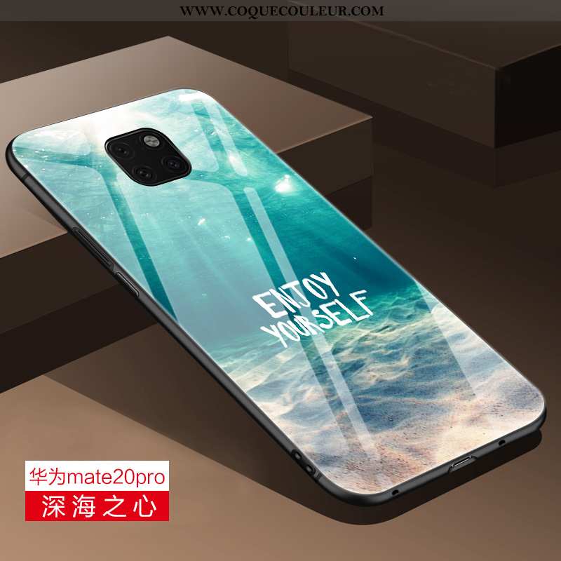 Housse Huawei Mate 20 Pro Verre Téléphone Portable Silicone, Étui Huawei Mate 20 Pro Personnalité Bl