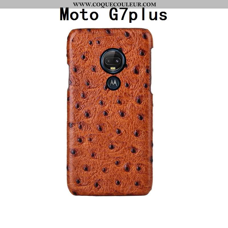 Housse Moto G7 Plus Modèle Fleurie Créatif Coque, Étui Moto G7 Plus Mode Noir