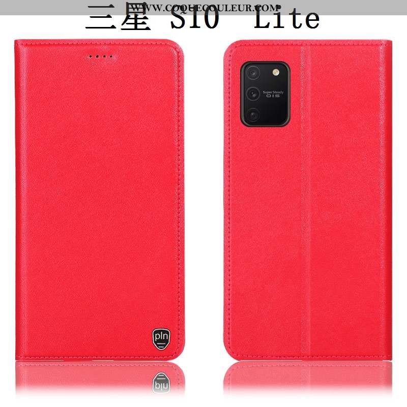 Coque Samsung Galaxy S10 Lite Cuir Véritable Tout Compris, Housse Samsung Galaxy S10 Lite Protection