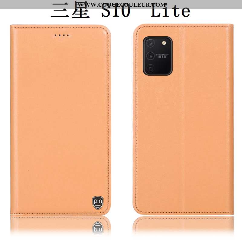 Coque Samsung Galaxy S10 Lite Cuir Véritable Tout Compris, Housse Samsung Galaxy S10 Lite Protection