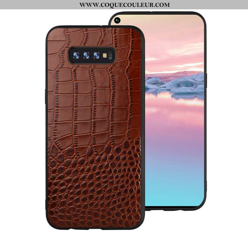 Housse Samsung Galaxy S10 Cuir Véritable Étoile Créatif, Étui Samsung Galaxy S10 Tendance Marron