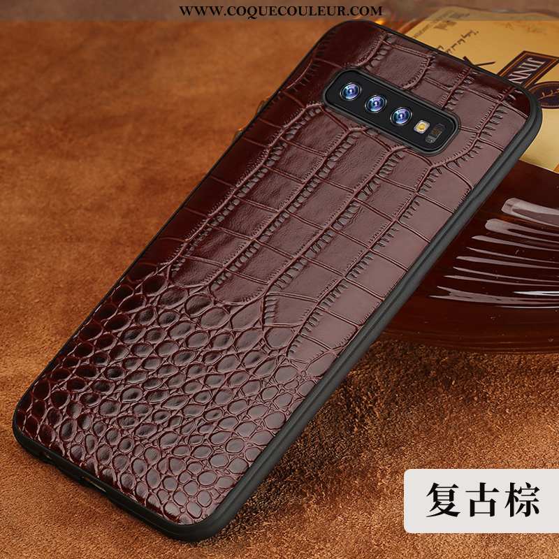 Housse Samsung Galaxy S10 Cuir Véritable Étoile Créatif, Étui Samsung Galaxy S10 Tendance Marron