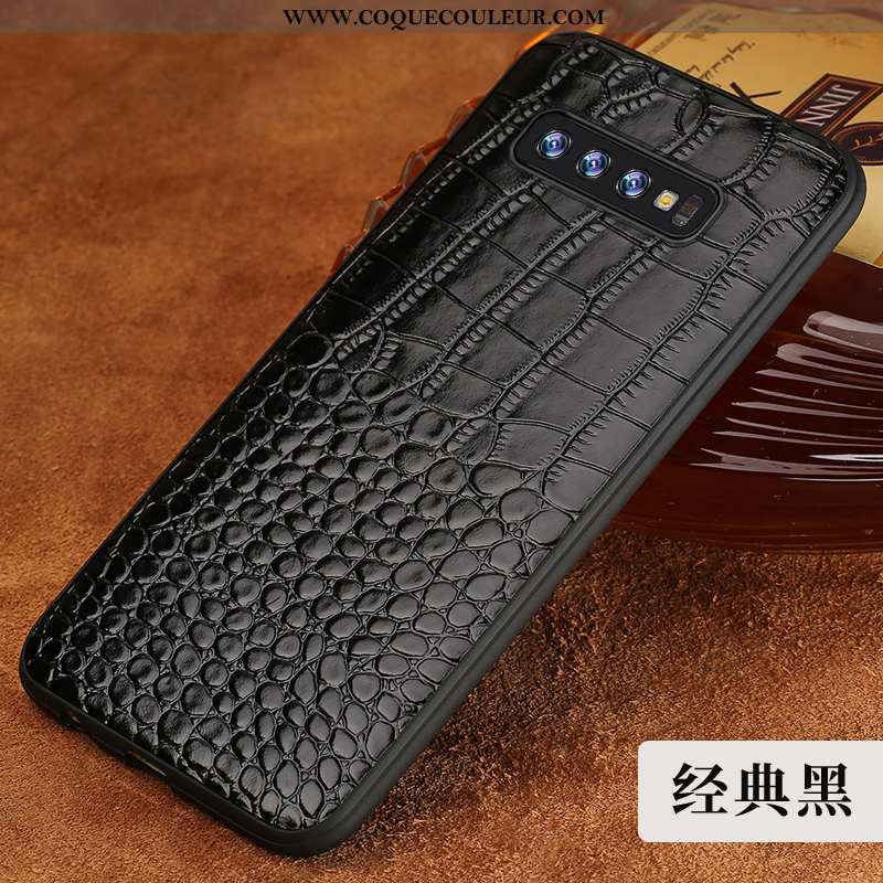 Housse Samsung Galaxy S10 Cuir Véritable Étoile Créatif, Étui Samsung Galaxy S10 Tendance Marron