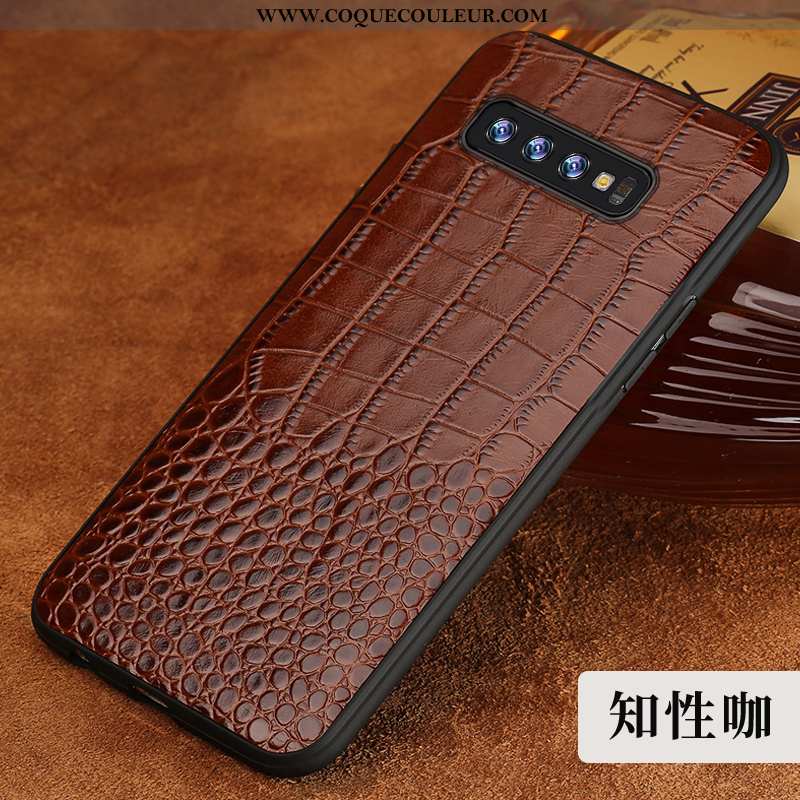 Housse Samsung Galaxy S10 Cuir Véritable Étoile Créatif, Étui Samsung Galaxy S10 Tendance Marron