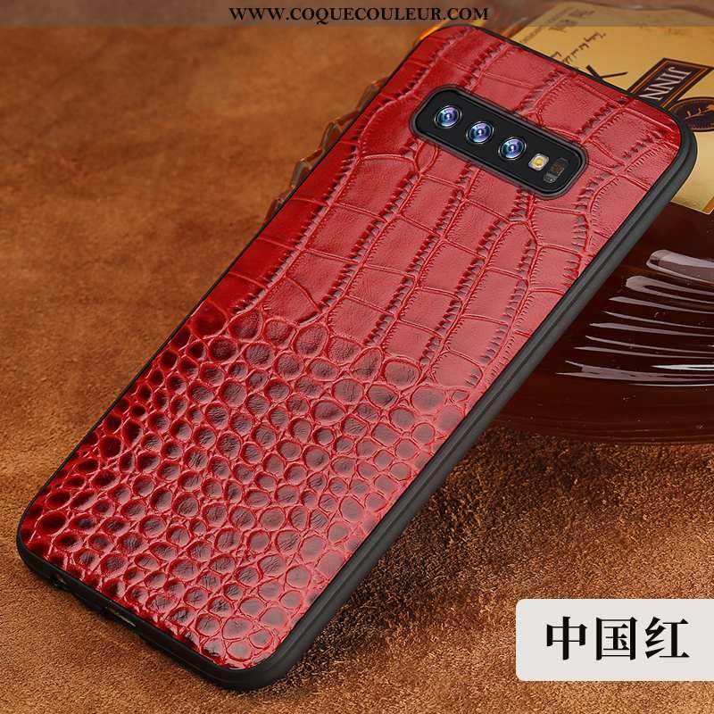 Housse Samsung Galaxy S10 Cuir Véritable Étoile Créatif, Étui Samsung Galaxy S10 Tendance Marron