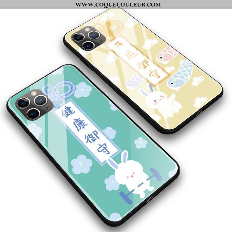 Coque iPhone 11 Pro Max Verre Téléphone Portable Coque, Housse iPhone 11 Pro Max Silicone Protection