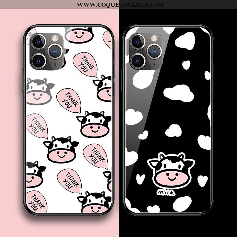 Étui iPhone 11 Pro Max Verre Protection Coque, Coque iPhone 11 Pro Max Dessin Animé Silicone Noir