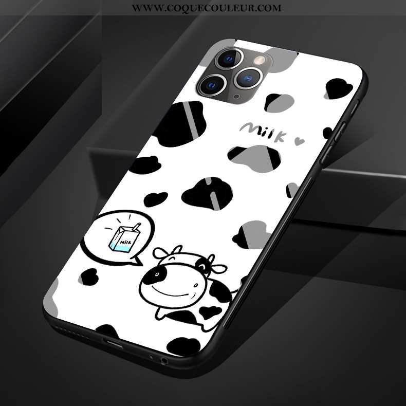 Étui iPhone 11 Pro Max Verre Protection Coque, Coque iPhone 11 Pro Max Dessin Animé Silicone Noir