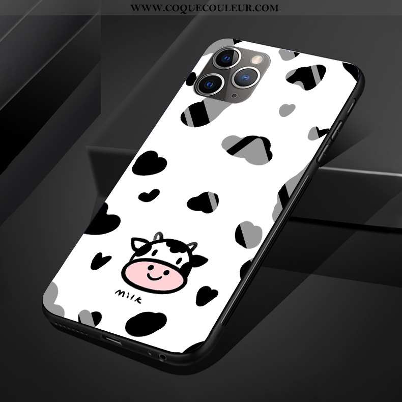 Étui iPhone 11 Pro Max Verre Protection Coque, Coque iPhone 11 Pro Max Dessin Animé Silicone Noir