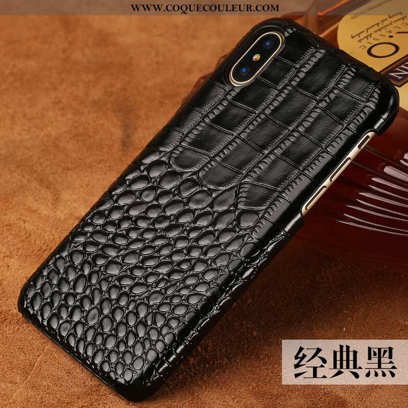 Coque iPhone Xs Mode Tout Compris Cuir Véritable, Housse iPhone Xs Protection Modèle Fleurie Noir