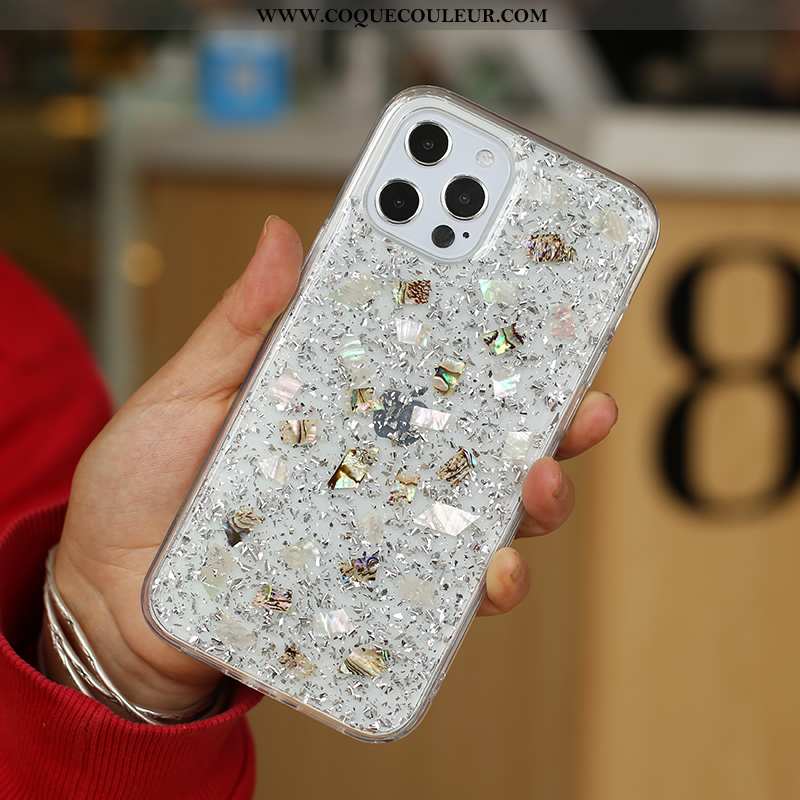 Étui iPhone 12 Pro Max Transparent Luxe Créatif, Coque iPhone 12 Pro Max Personnalité Argent