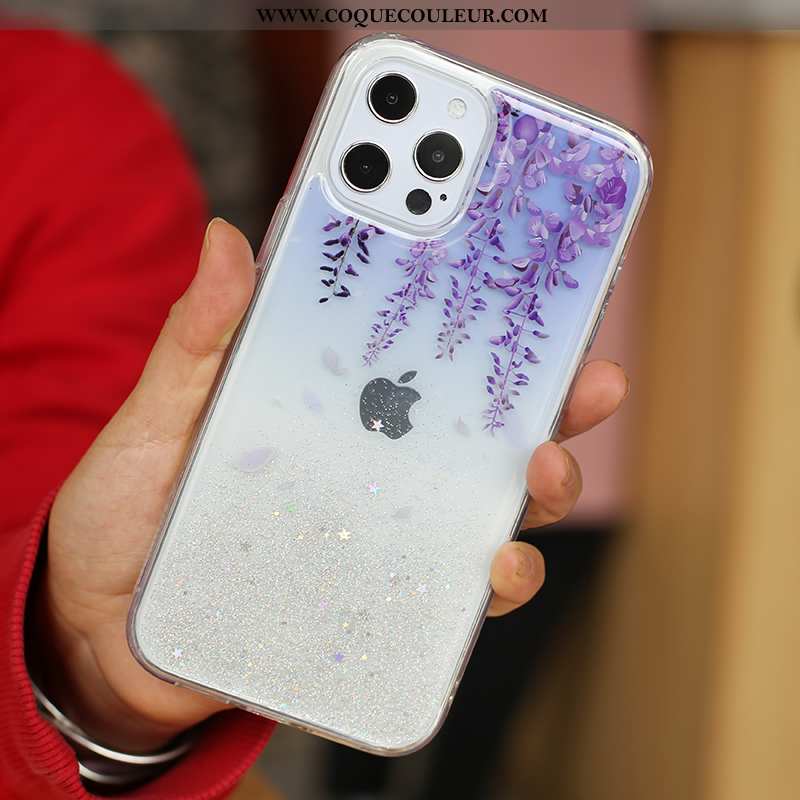 Étui iPhone 12 Pro Max Transparent Luxe Créatif, Coque iPhone 12 Pro Max Personnalité Argent