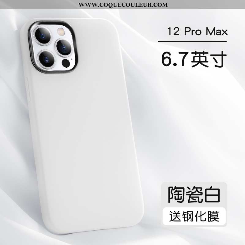 Étui iPhone 12 Pro Max Protection Silicone Tout Compris, Coque iPhone 12 Pro Max Personnalité Incass