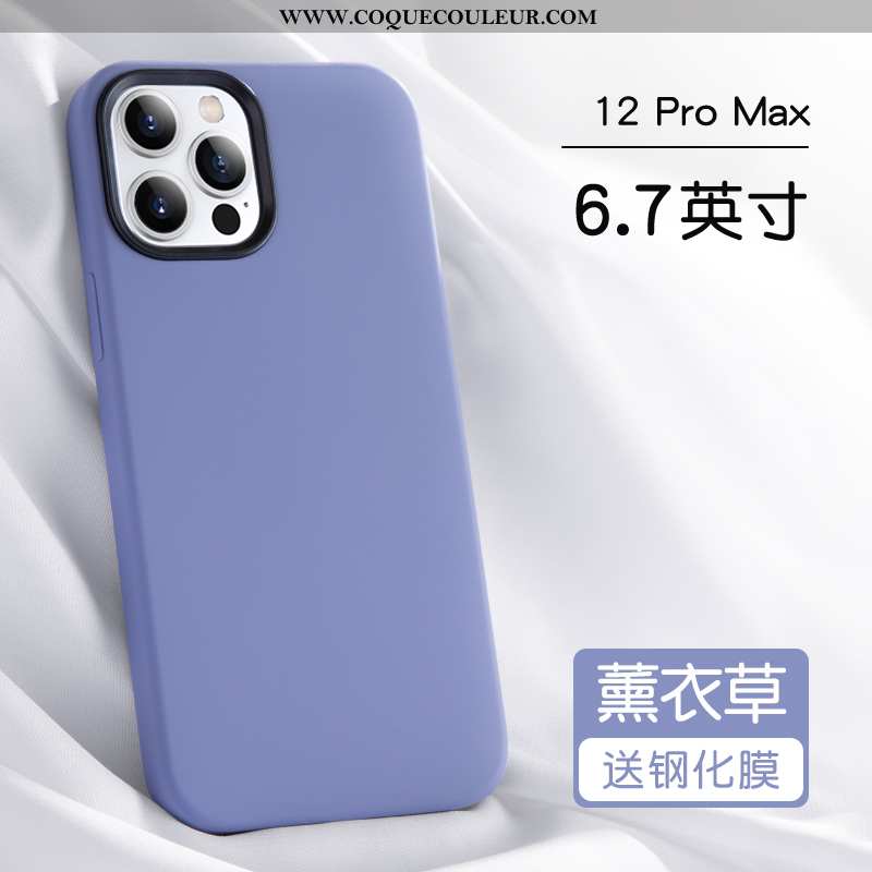 Étui iPhone 12 Pro Max Protection Silicone Tout Compris, Coque iPhone 12 Pro Max Personnalité Incass