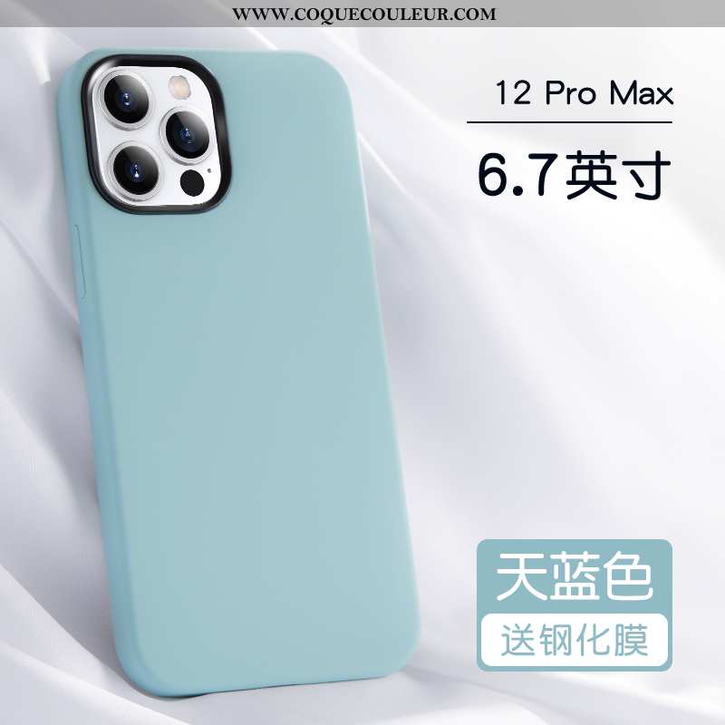 Étui iPhone 12 Pro Max Protection Silicone Tout Compris, Coque iPhone 12 Pro Max Personnalité Incass