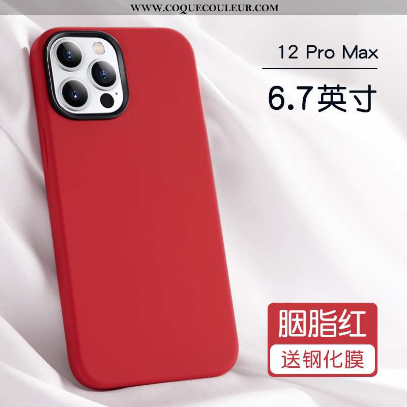 Étui iPhone 12 Pro Max Protection Silicone Tout Compris, Coque iPhone 12 Pro Max Personnalité Incass