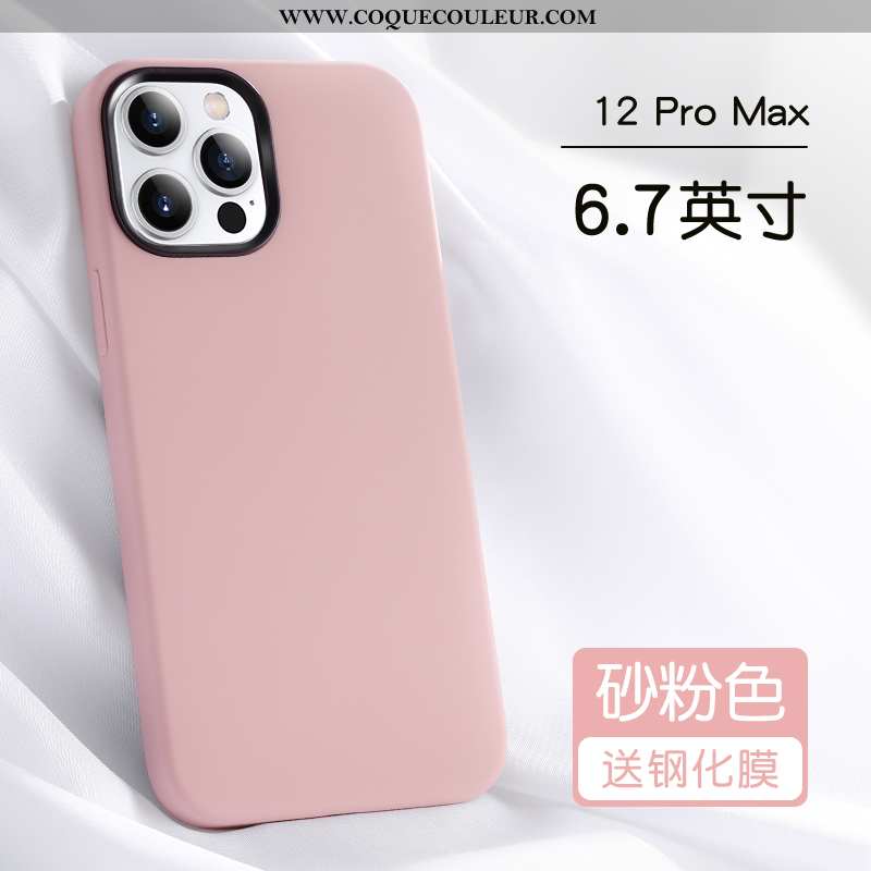 Étui iPhone 12 Pro Max Protection Silicone Tout Compris, Coque iPhone 12 Pro Max Personnalité Incass