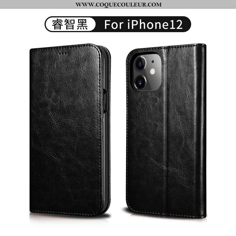 Étui iPhone 12 Cuir Véritable Protection Or, Coque iPhone 12 Portefeuille Téléphone Portable Noir