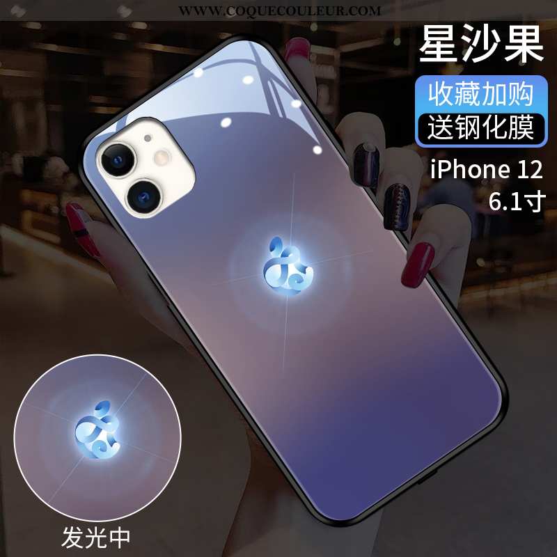 Étui iPhone 12 Protection Couvercle Arrière Tendance, Coque iPhone 12 Verre Tout Compris Bleu