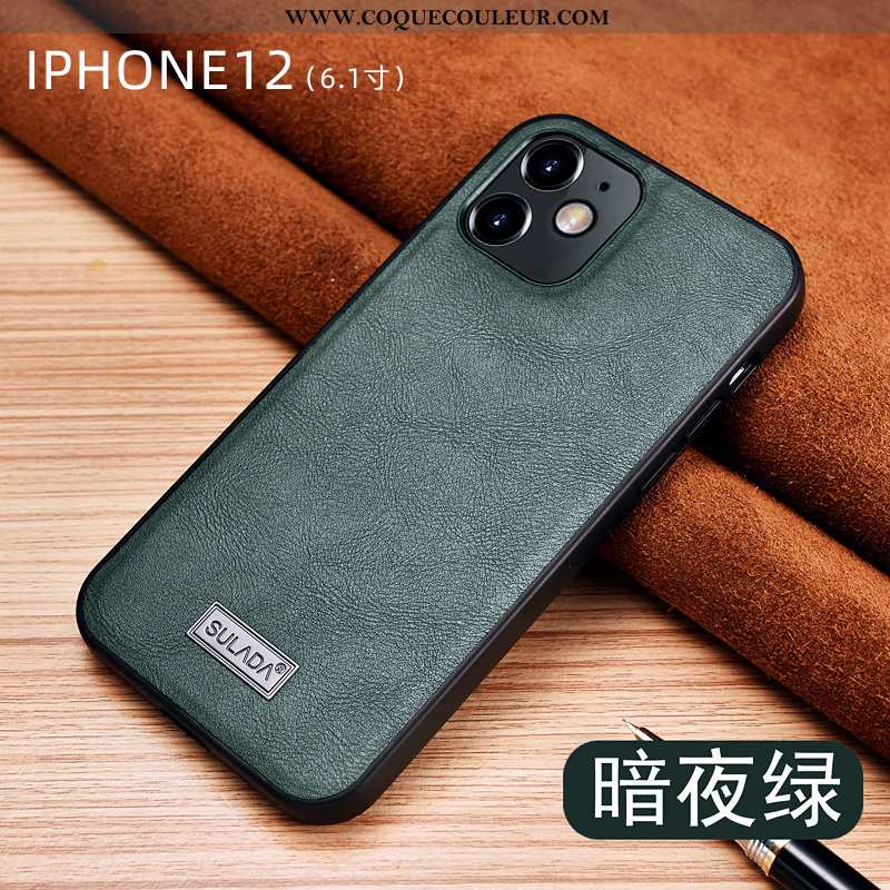 Étui iPhone 12 Cuir Luxe Tout Compris, Coque iPhone 12 Protection Marron